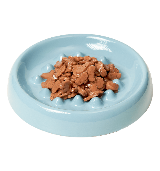 Chicken with Salmon Chunk in Gravy